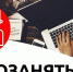 Почти 3 тысячи жителей Новгородской области стали самозанятыми - Окуловский район