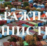 Закон о гаражной амнистии - Окуловский район