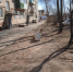 Хотим выразить благодарность неравнодушным, активным жителям нашего города!!! - Окуловский район