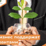 В Новгородской области молодых и социальных предпринимателей поддержат грантами - Окуловский район